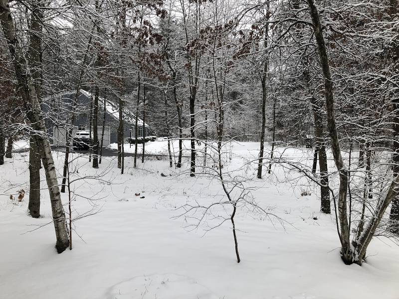 [ Snowy day ]